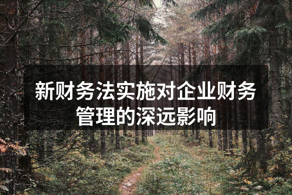 新财务法实施对企业财务管理的深远影响